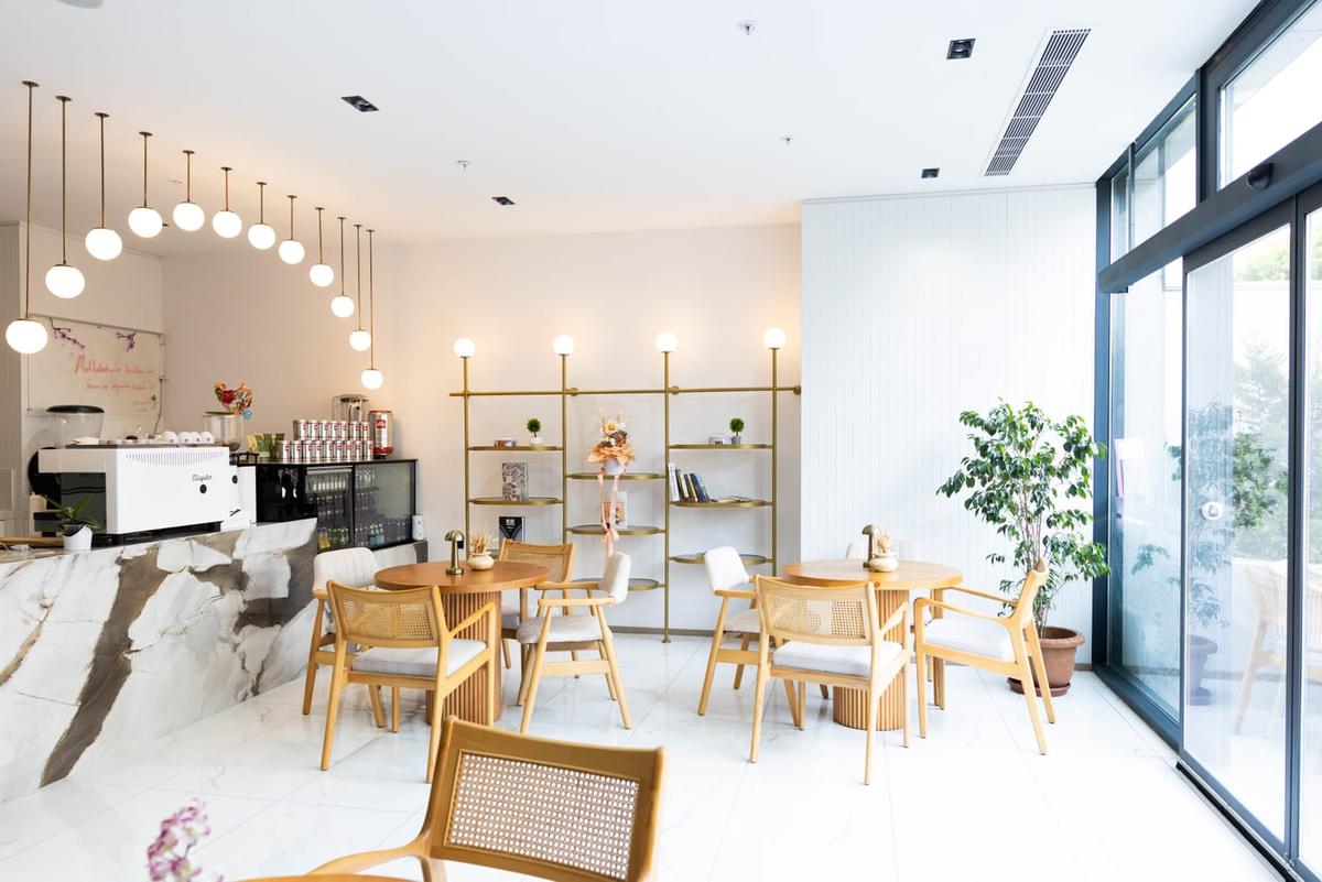 Kafe alanının genel görünümü; pencere önü oturma düzeni ve yeşil bitkiler
